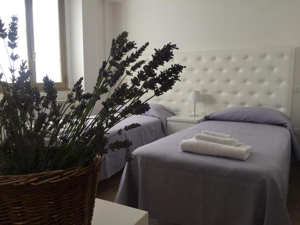 Itaka Bed and Breakfast LʼAquila Buitenkant foto
